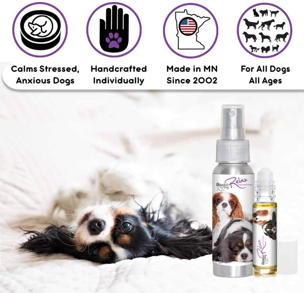 The Blissful Dog Spray de aromaterapia relajante para perros Cavalier King Charles Spaniel para la ansiedad de tu perro