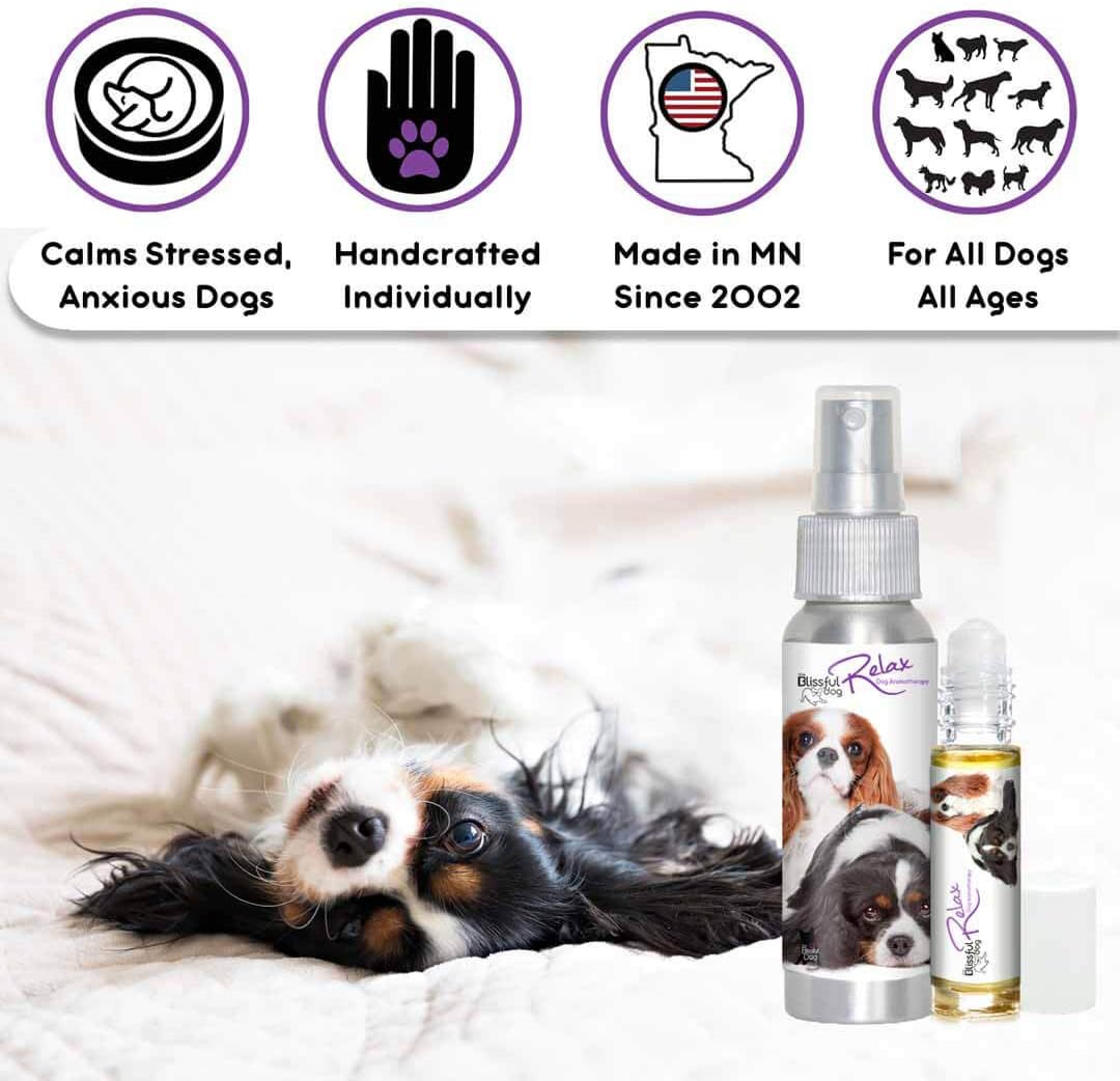 The Blissful Dog Spray de aromaterapia relajante para perros Cavalier King Charles Spaniel para la ansiedad de tu perro