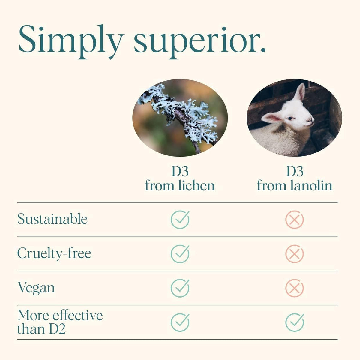 Vitamina D3 2000 IU Vegana - Comprimibles de – Fuente: Si eres vegano, busca D3 de liquen en lugar de lanolina. – Image 7