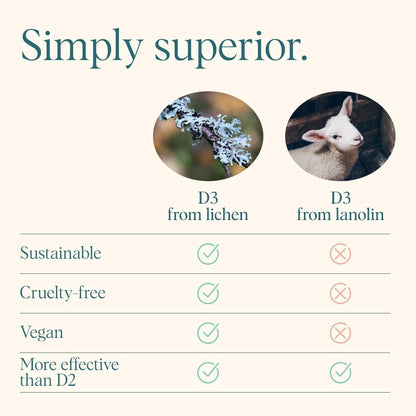 Vitamina D3 2000 IU Vegana - Comprimibles de – Fuente: Si eres vegano, busca D3 de liquen en lugar de lanolina. – Image 7