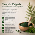 Super Immune Support, 6-in-1 Immune Supplement, N-Acetyl Cysteine (NAC), Quercetin, Elderberry, Chlorella, Chaga & Bromelain