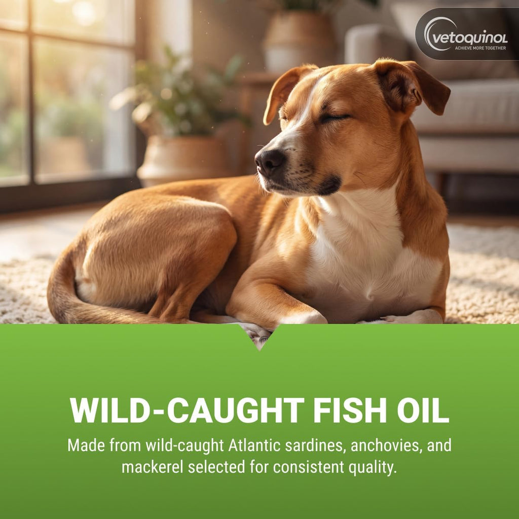 Vetoquinol Triglyceride OMEGA - Aceite de Pescado para Perros y Gatos - 60 Cápsulas