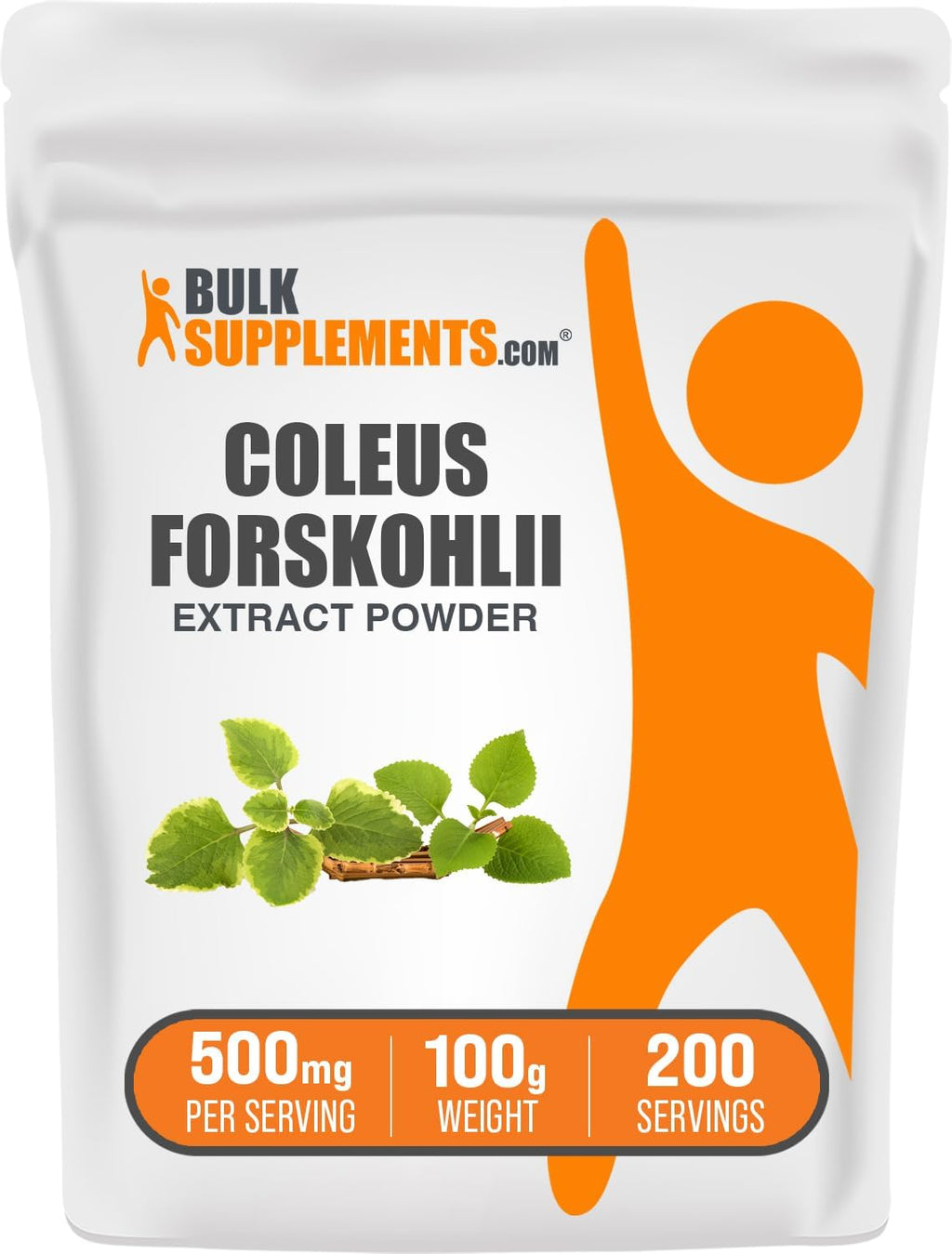 Extracto de Coleus Forskohlii en Polvo - Suplemento de Forskolina - 500g