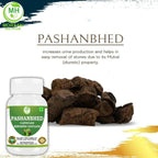 Pashanabheda (Bergenia ligulata) en Cápsulas - Suplemento Ayurvédico 100% Puro, 500 mg, 240 Cápsulas Vegetales