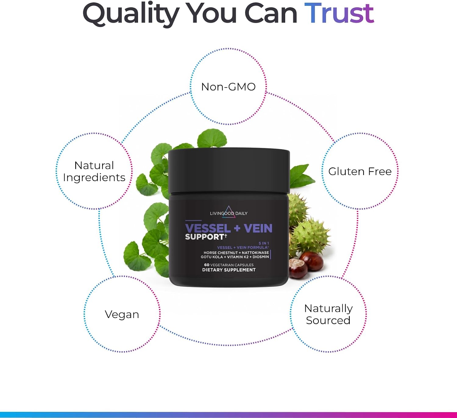 Livingood Daily Vessel & Vein Support - Suplemento para la Circulación y Salud Venosa, 60 Cápsulas
