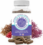 Cápsulas de Musgo Marino Púrpura y Bladderwrack | 2202mg Perfil Nutricional Completo - Mezcla de Algas Silvestres para el Bienestar Diario – 60 Cápsulas