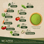 Wolffia globosa Superalimento Deshidratado | 60g