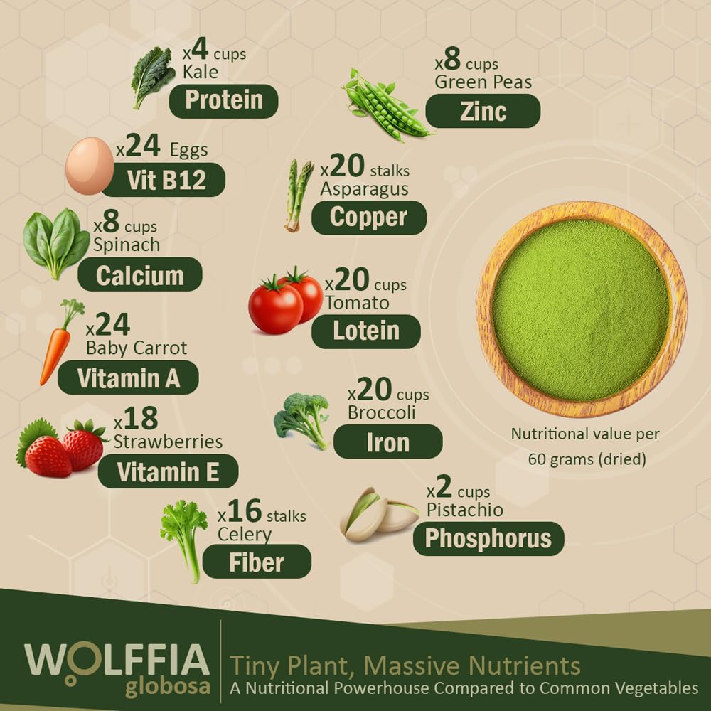 Wolffia globosa Superalimento Deshidratado | 60g