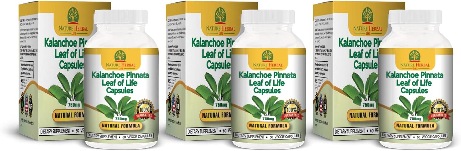 Kalanchoe Pinnata (Hoja de Vida) 750mg - 180 Cápsulas Vegetales (3 Frascos)