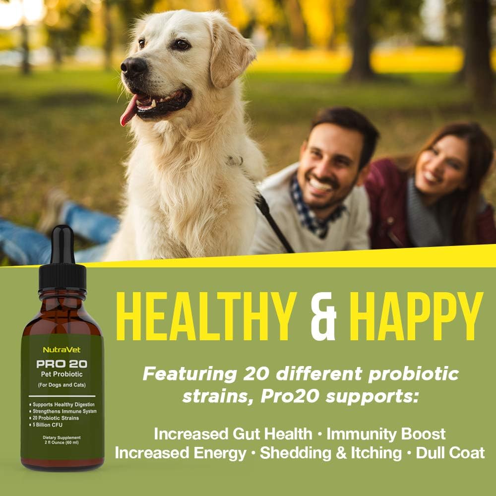 Probióticos para Perros y Gatos - 120 Servicios - Líquido Natural con Enzimas Digestivas