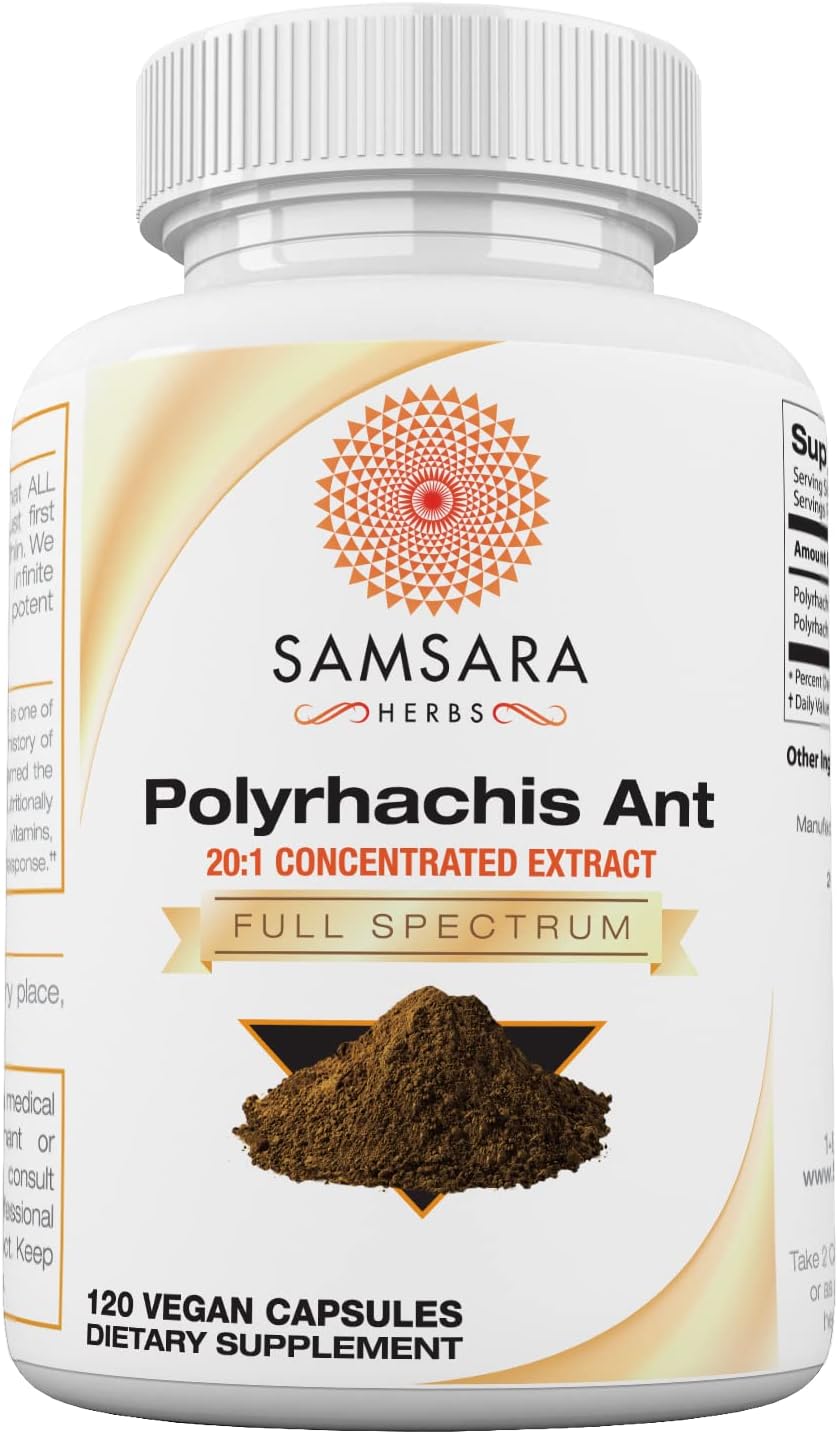Samsara Herbs Extracto de Hormiga Negra Polyrhachis - Concentrado 20:1 (227g)
