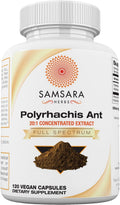 Samsara Herbs - Extracto de Hormiga Negra Polyrhachis (120 Cápsulas)