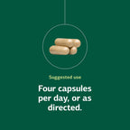 Standard Process Protefood - 90 Cápsulas