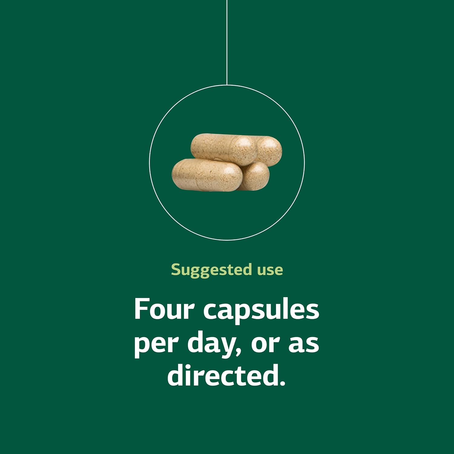 Standard Process Protefood - 90 Cápsulas