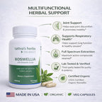 Boswellia Serrata CO2 Extract 500 mg - 240 Cápsulas Veganas (2 Pack)