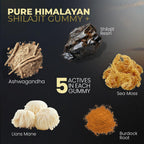 Pure Shilajit Gummies con Sea Moss, Ashwagandha y Minerales - Sabor Sandía - 60 Gomitas