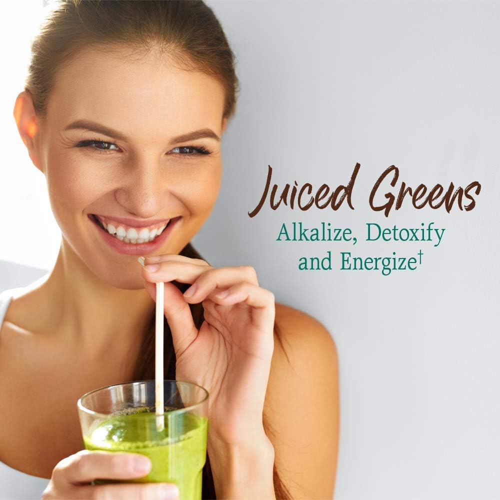 Garden of Life Raw Organic Perfect Food Green Superfood Juiced Greens Powder - Chocolate, 60 Raciones
