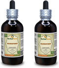 Shankhpushpi (Convolvulus Pluricaulis) Extracto Líquido de Hierba Entera - HerbalTerra, 2x118 ml