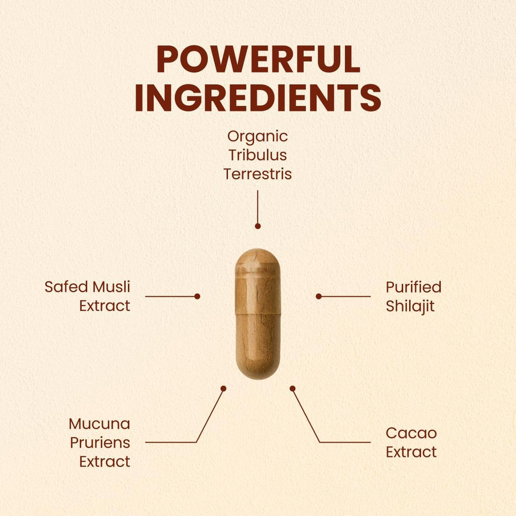 CHOQ Daily con 500mg PrimaVie Shilajit, Safed Musli y Tribulus - Suplemento Diario para Hombres, 60 Cápsulas Veganas