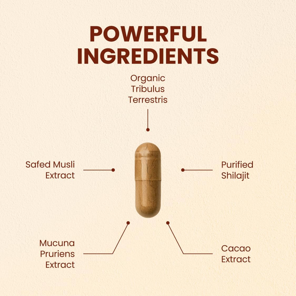 CHOQ Daily con 500mg PrimaVie Shilajit, Safed Musli y Tribulus - Suplemento Diario para Hombres, 60 Cápsulas Veganas
