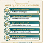 BILL & COO Anigreens Probióticos para Perros y Gatos en Polvo, 90g