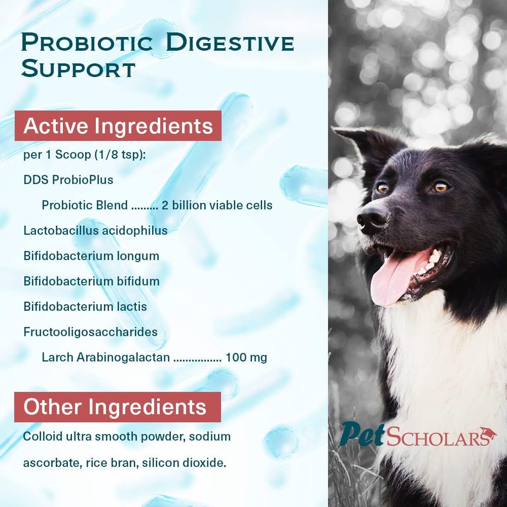 Pet Scholars Probiotic Digestive Support for – Cepas probióticas: Busca productos que especifiquen las cepas – Image 5