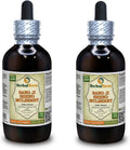 Sang Ji Sheng (Muérdago de Morera) Tintura – 2x120 ml – HerbalTerra