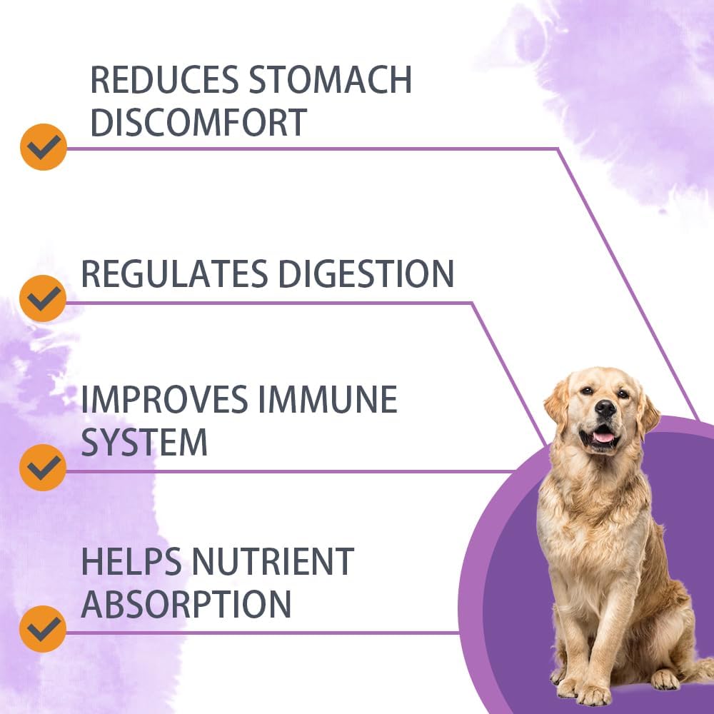 Nutridog Masticables Probióticos para Perros 120 uds – 6.000 millones UFC, 6 cepas, con Postbióticos EpiCor y Fibra de Calabaza – Sabor a Pato