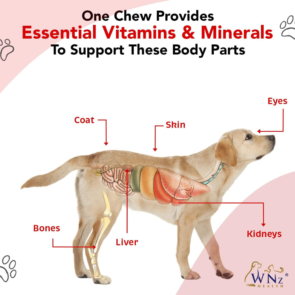 Multivitamínicos y Probióticos para Perros con Cúrcuma y Yucca - 60 Masticables