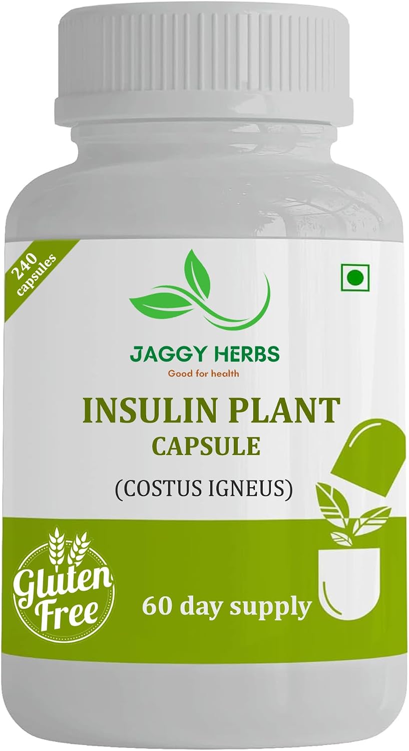 JAGGY Premium Cápsulas de Planta de Insulina (Costus Igneus) - 240 Cápsulas Veganas (Suministro para 60 Días)