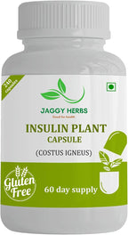 JAGGY Premium Cápsulas de Planta de Insulina (Costus Igneus) - 240 Cápsulas Veganas (Suministro para 60 Días)