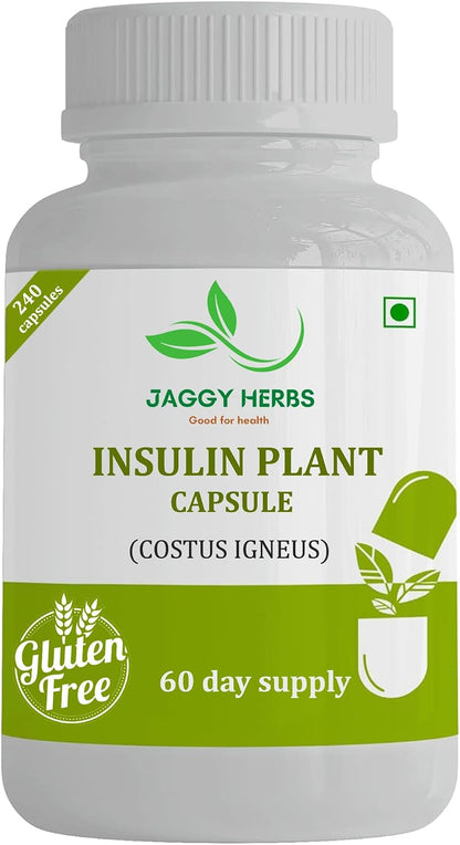 JAGGY Premium Cápsulas de Planta de Insulina (Costus Igneus) - 240 Cápsulas Veganas (Suministro para 60 Días) – Image 5