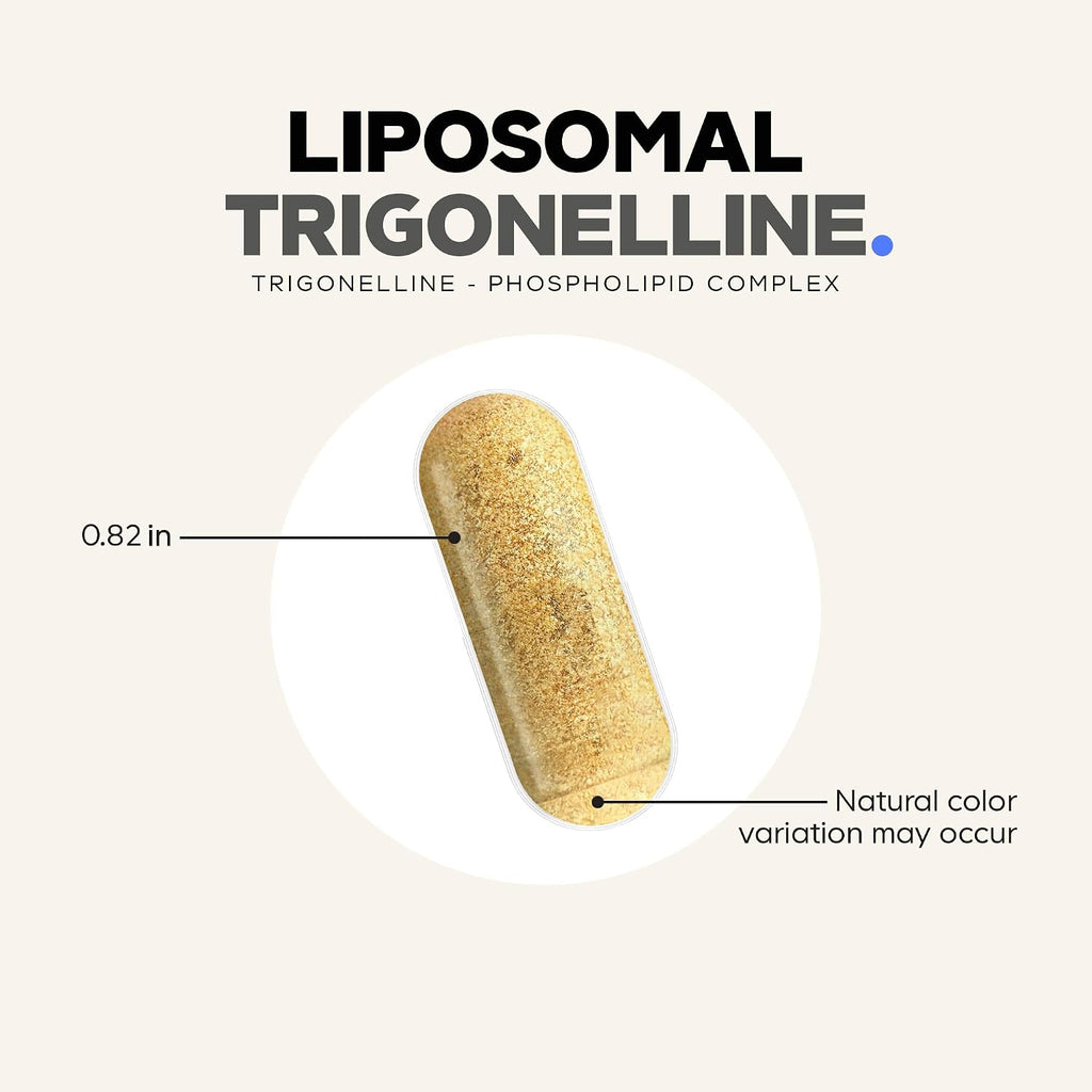 Codeage Liposomal Trigonelline - 250 mg por Cápsula - Suministro de 3 Meses - Alcaloide Vegetal - Entrega Liposomal para Biodisponibilidad - Apoyo Metabólico y Nootrópico - Vegano No-GMO - 90 Cápsulas