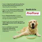 Proflora Probióticos y Prebióticos Diarios para Perros - 30 Sobres en Polvo