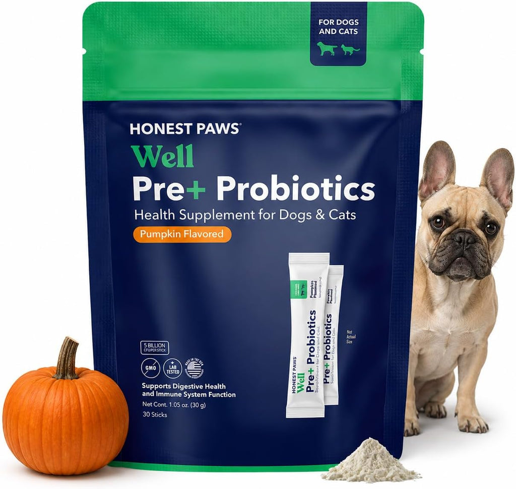 Honest Paws Probióticos para Perros - Polvo Digestivo con Prebióticos y Sabor a Calabaza (30 sticks)