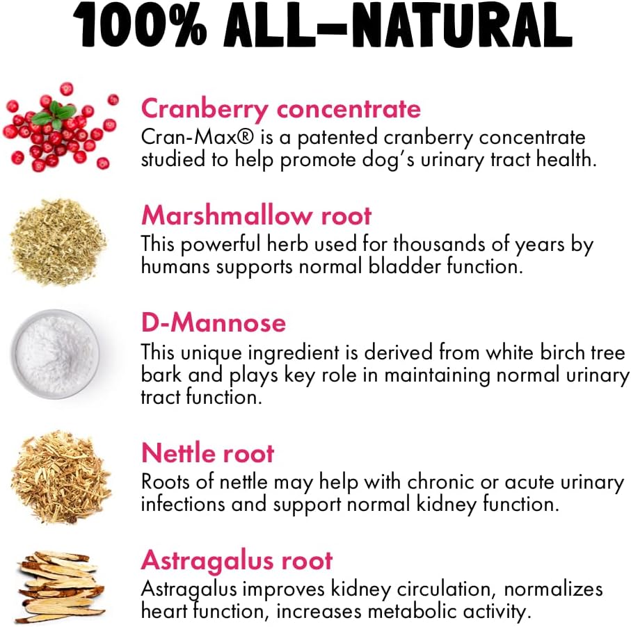 Cranberry UTI Chews para Perros - Apoyo a la Vejiga y Tracto Urinario con D-Mannosa - Complemento Natural de Arándano - 30 Chewables Sabor Pollo