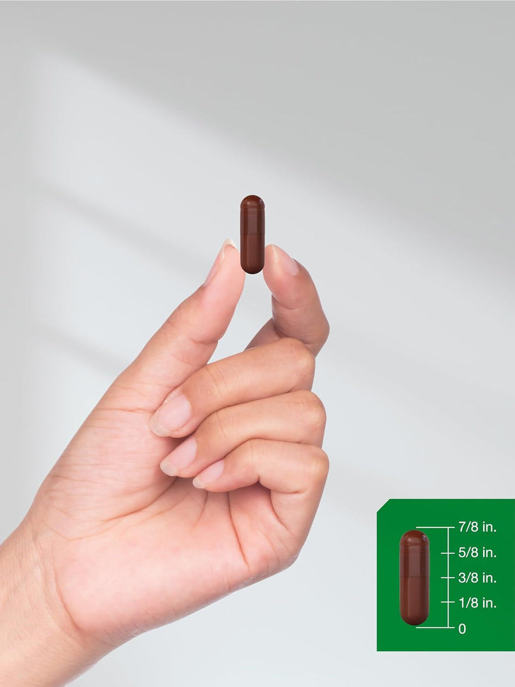 Horbäach Extracto de Corteza de Pino | 180 Cápsulas | Estandarizado al 75% de Proantocianidinas | Alta Potencia
