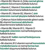 Vitabiotics Wellman 70+ 30 Comprimidos
