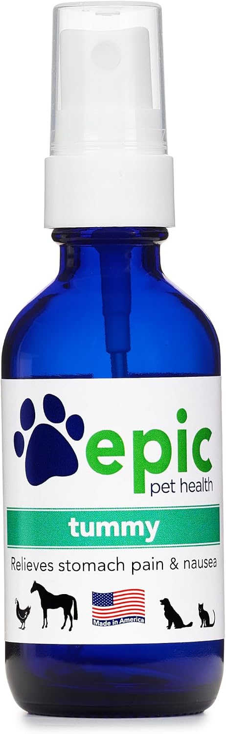 Tummy Electrolyte Supplement Multivitamin - Suplemento Electrolítico Multivitamínico para Perros y Gatos
