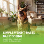 Vetoquinol Triglyceride Omega - Aceite de Pescado para Perros y Gatos - 60 Cápsulas