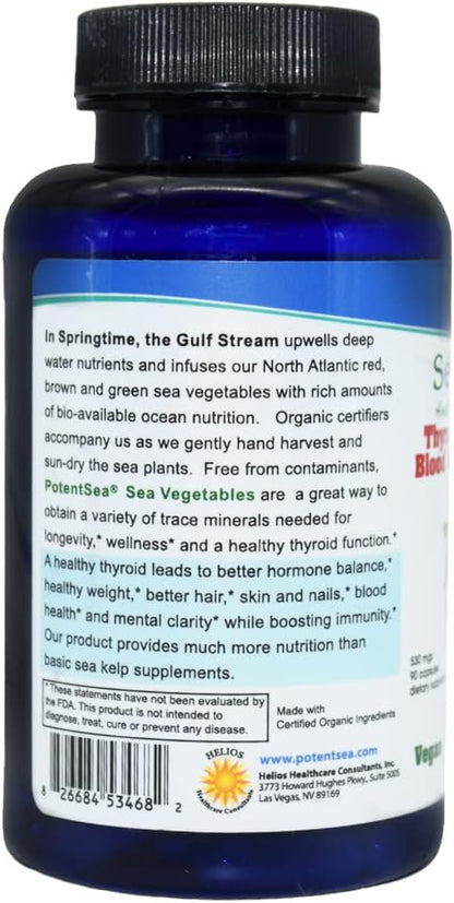 PotentSea Sea Vegetables - 540 mg - 90 – Sea Lettuce (Ulva lactuca): aporta clorofila y aminoácidos esenciales. – Image 4