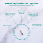Cápsulas de Fitoplancton Marino - Suplemento Vegano con Alpha 3 CMP - 30 Cápsulas