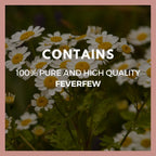 Remedy's Nutrition Matricaria | 1,000 mg, 60 Cápsulas Veganas Complemento Alimenticio Herbal | Suministro para Dos Meses