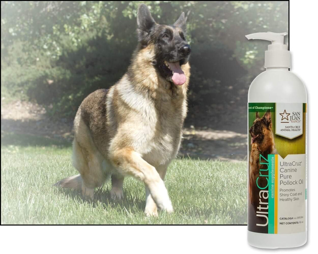 UltraCruz Canine Pure Pollock Oil Supplement for Dogs, 8 oz