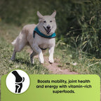 iHeartDogs Super Greens para Perros con Brotes de Brócoli y Espirulina - Polvo de Apoyo Inmunológico y Alergias Estacionales