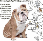 The Blissful Dog Age Well Spray de Aromaterapia para Perros - 80 ml