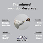 Zinc para Perros - Suplemento de Zinc Líquido para la Piel, el Pelaje y la Salud Inmunológica - 1 fl oz - Sabor a Bacon