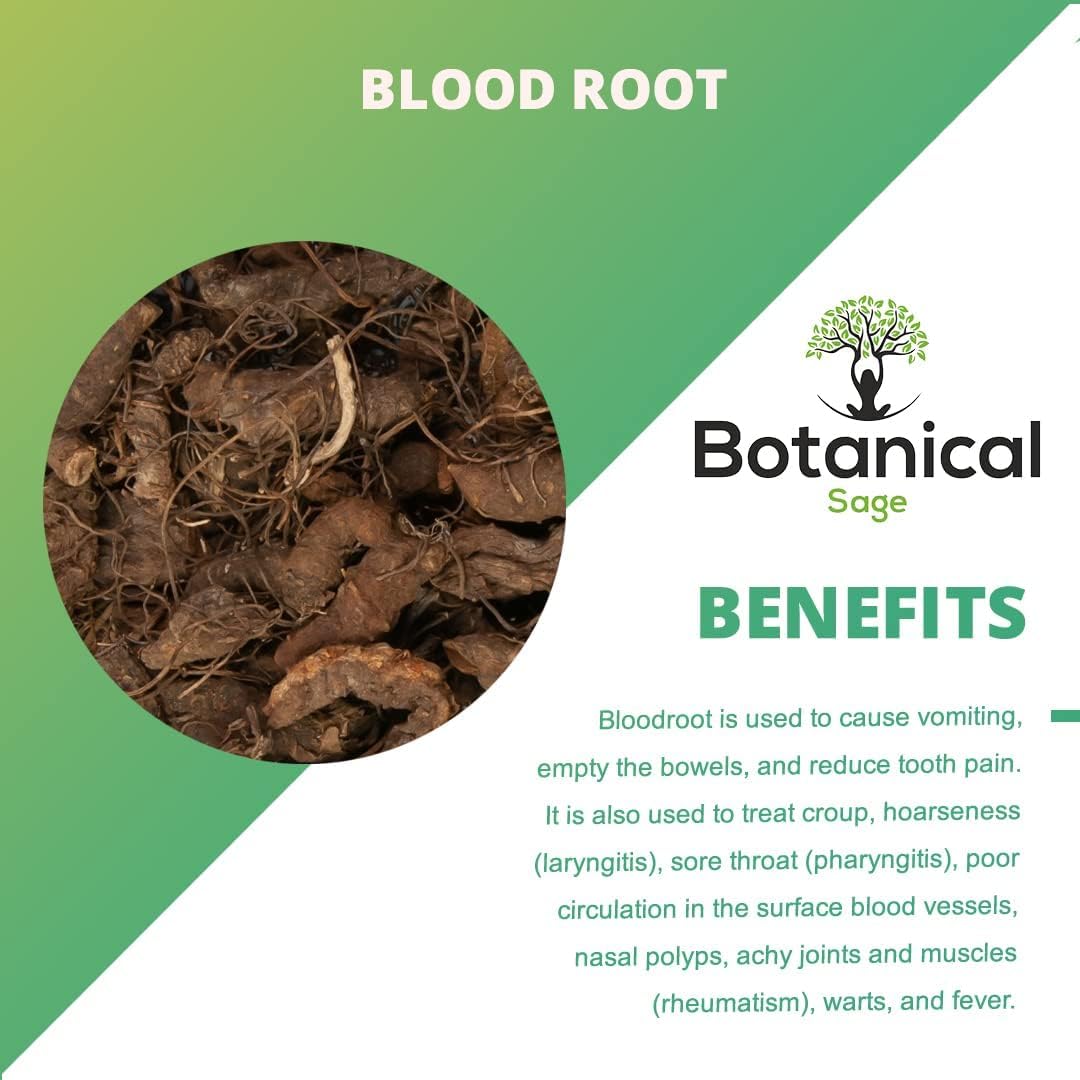 Bloodroot (Sanguinaria Canadensis) 200g - Suplemento Herbal