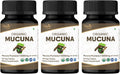 ORGANIC SPREE Comprimidos de Mucuna - USDA Orgánico, Apoya la Energía y el Bienestar General*, 120 Comprimidos - Paquete de 3