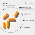 PUROVITALIS Dihydroberberine 200mg con Vitamina K2 y E, Suplemento de Berberina de Alta Concentración, 1 Mes de Suministro (30 Cápsulas Veganas)